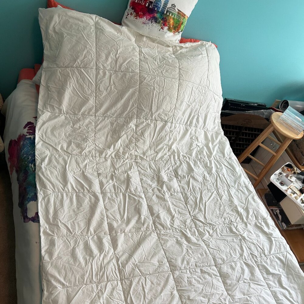 Pottery Barn Teen “Stay Chill” Duvet Insert (Twin/Twin XL) - Picture 3 of 5